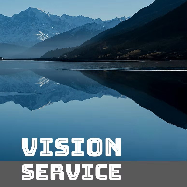 Vision Service 2026
